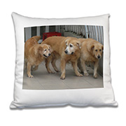 cushioncover